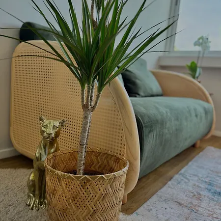 Apartment Bolhao Luxe Retreat 1 Porto