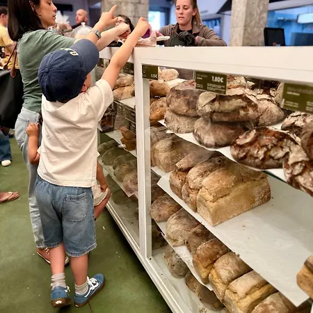 Bolhao Luxe Retreat 1