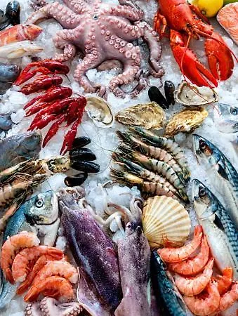 Bolhao Luxe Retreat 1 * 포르투