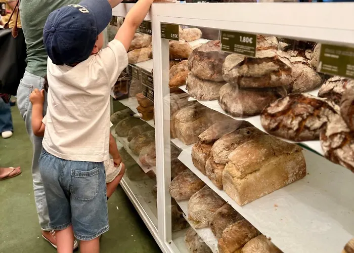 Bolhao Luxe Retreat 1